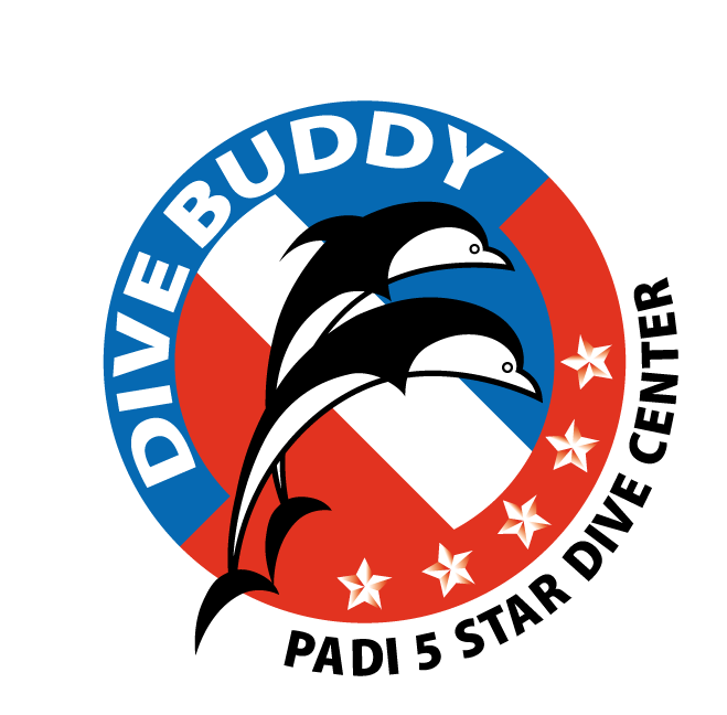Dive Buddy Malaysia